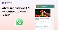 WhatsApp Business API- All you need to know in 2024