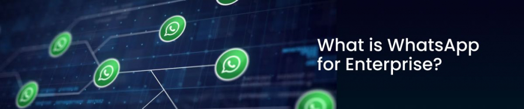 Whatsapp for Enterprise