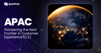 APAC CX infographics